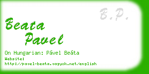 beata pavel business card